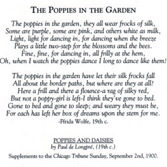 Birthday Greeting Card 🎴 Size 5 by 7 inches - Picture 3 of 3